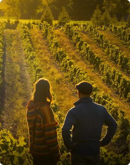 Couple dans un vignoble