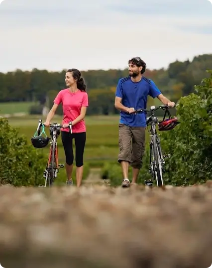 Vignoble en vélo