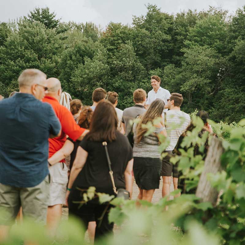 forfait le vendangeur domaine du ridge 2