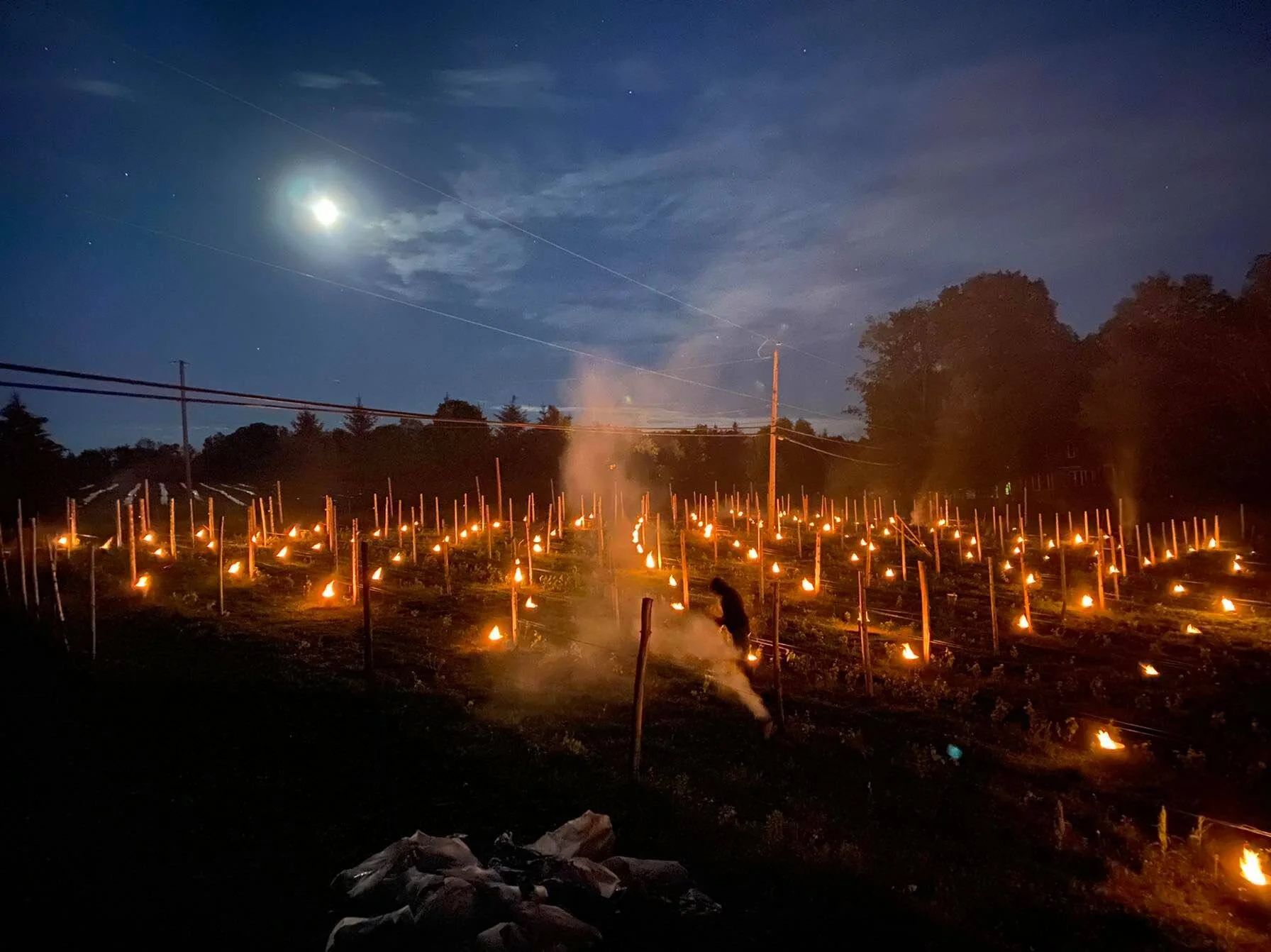On rechauffe les vignes 1712879905 On rechauffe les vignes 1712879905