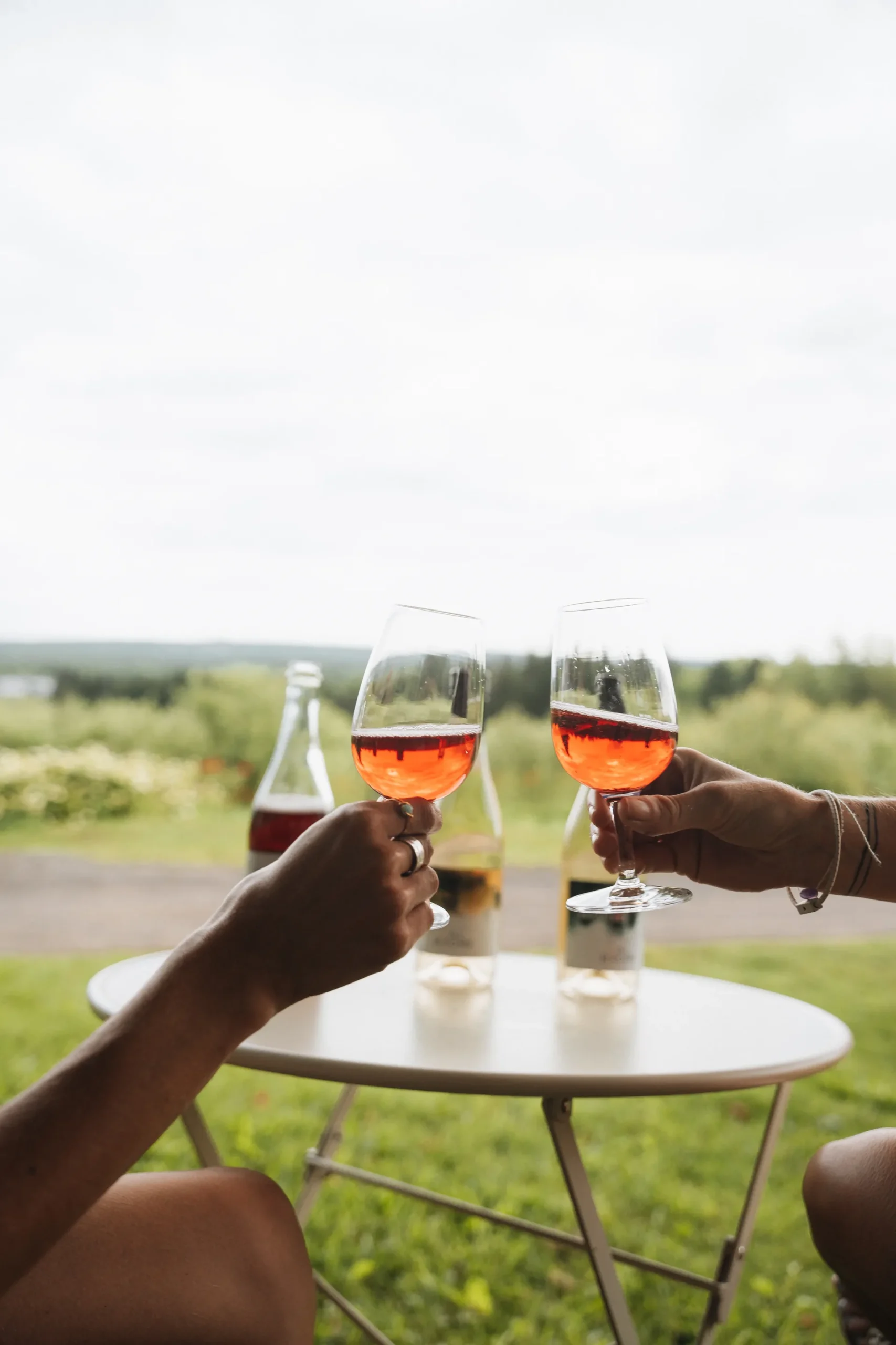 mains verres rose toast scaled Deux personnes trinquant deux coupes de vin rosé.