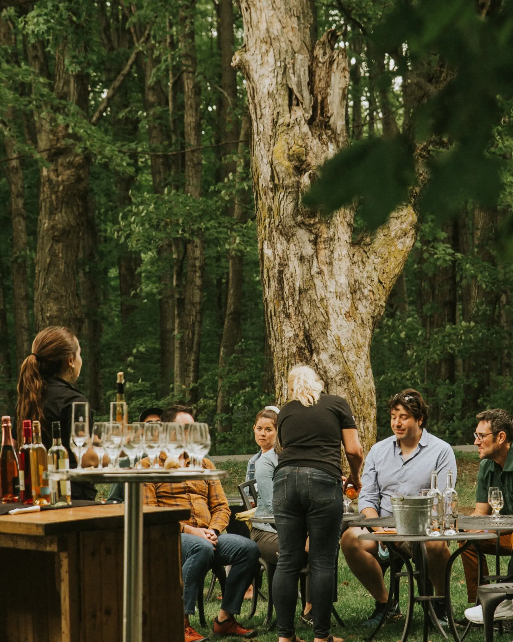 degustation vins brome missisquoi cantons est Dégustation de vins en plein air pour un groupe sur la Route des vins de Brome-Missisquoi, Cantons-de-l'Est. Service de vin dans un cadre verdoyant.