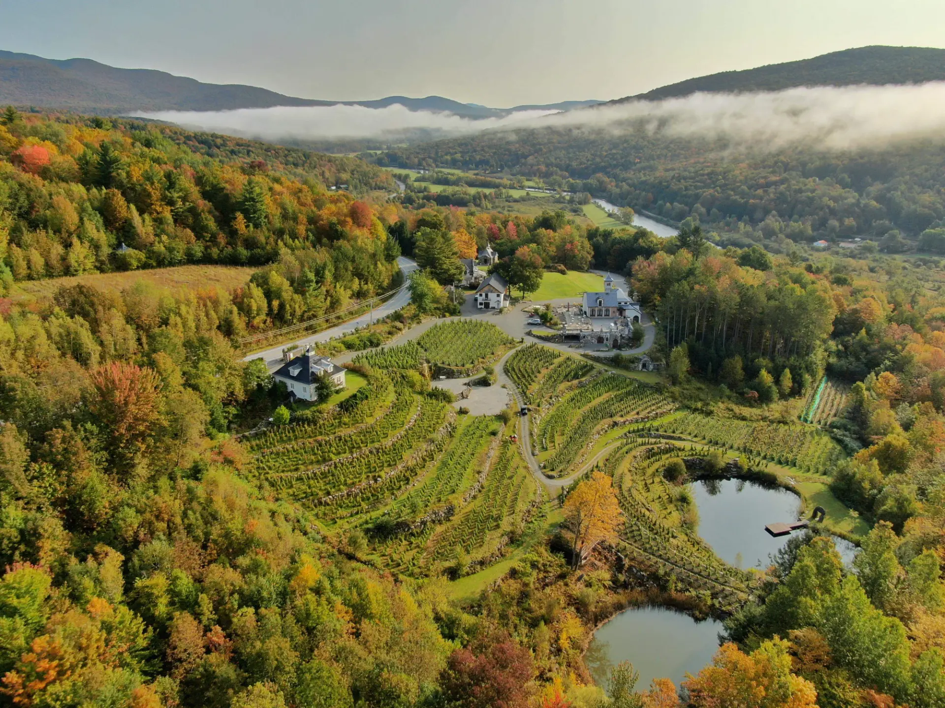 chateau ste agnes route des vins brome missisquoi vignoble automne Vue aérienne du vignoble Château Ste-Agnès en terrasses aux couleurs automnales, avec bâtiments et étangs, sur la Route des vins de Brome-Missisquoi.