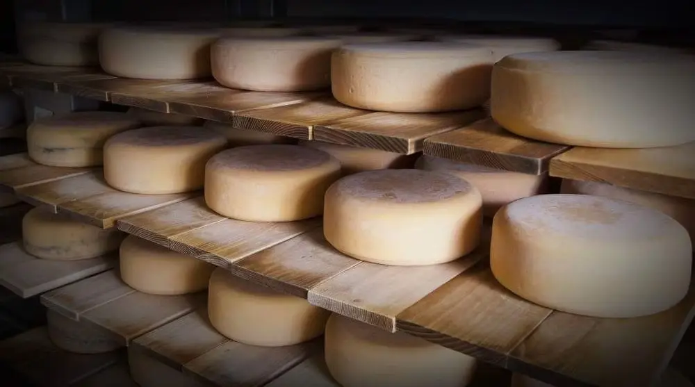 fromages affinage route des vins brome missisquoi Rondes de fromages artisanaux en affinage sur des étagères en bois. Produit local du Québec, idéal pour la Route des vins de Brome-Missisquoi.