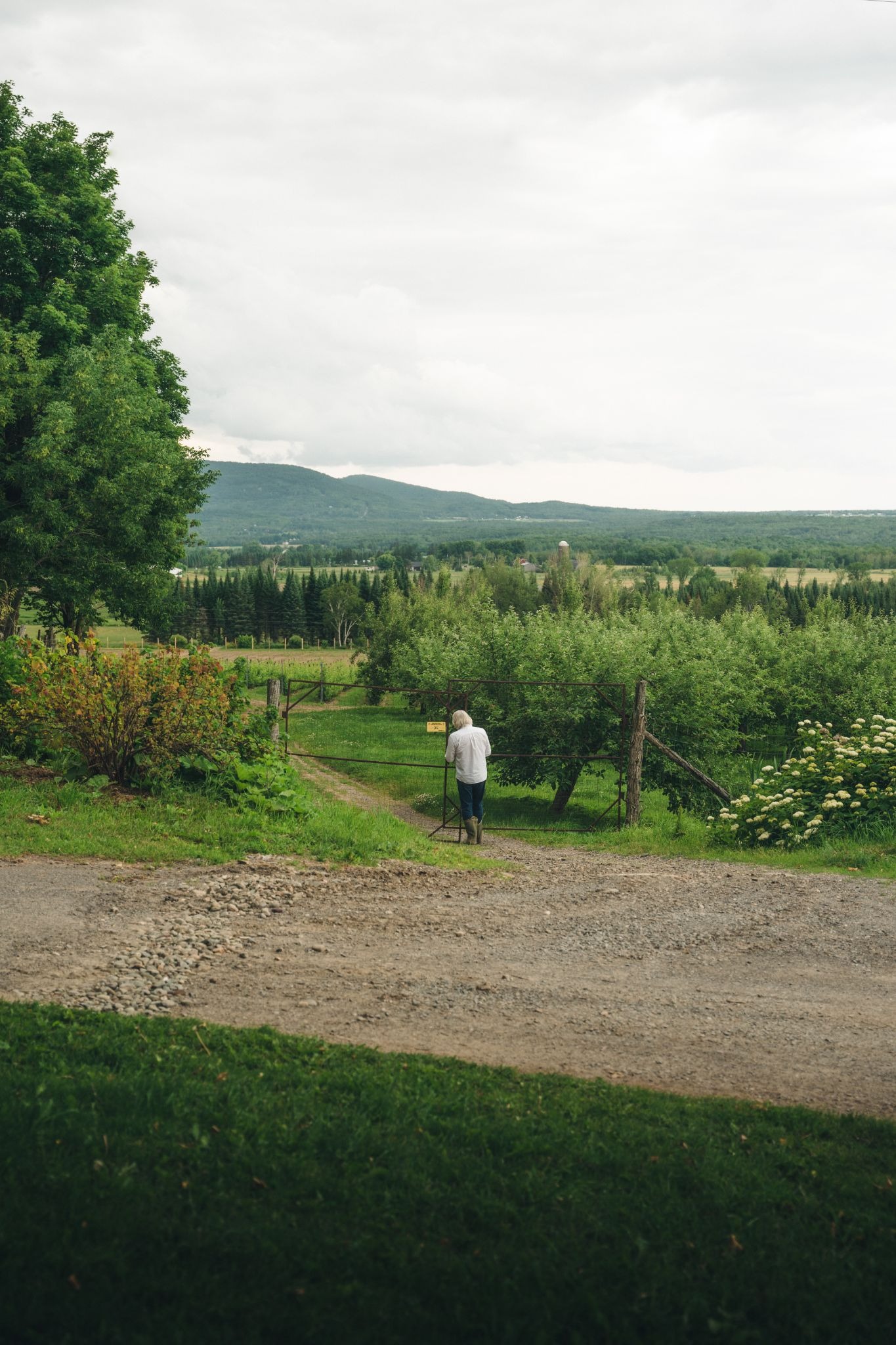 image 11 image 11
