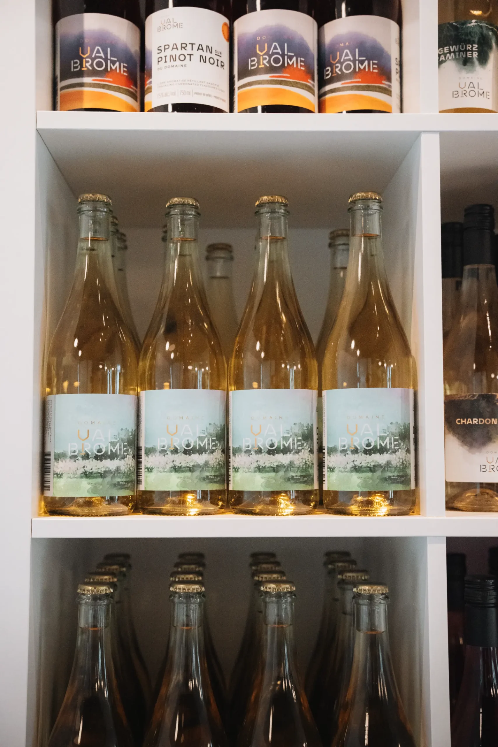 rayons vins cidres route brome missisquoi scaled Présentation de bouteilles de vin du Domaine ValBrome, un des vignobles de la Route des vins de Brome-Missisquoi, Cantons-de-l'Est.